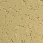 Imagen 1 de Neo Paris Color X 20kg-  Colores Linea Fabricacion Hueso