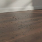 Imagen 5 de Piso Flotante Water Resistant Krono Original 7+1mm Bourbon Hills K489